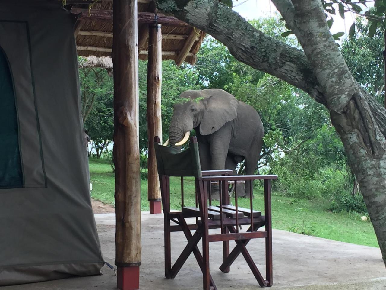 Queen Elizabeth Bush Lodge By Nature Lodges Ltd Katunguru Dış mekan fotoğraf